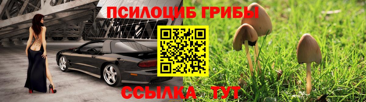 Псилоцибиновые грибы прущие грибы  Галлюциногенные грибы Psilocybine cubensis  Карачаевск  Вход с VPN 